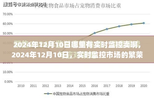 2024年12月10日实时监控市场繁荣与变迁，实时交易趋势分析