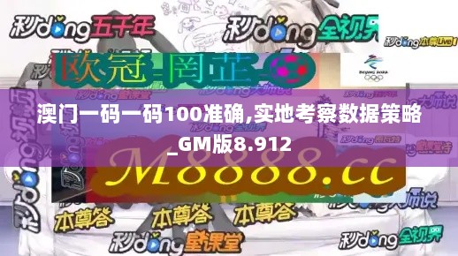 澳门一码一码100准确,实地考察数据策略_GM版8.912