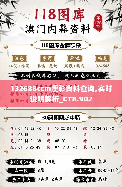 132688ccm澳彩资料查询,实时说明解析_CT8.902