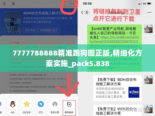 7777788888精准跑狗图正版,精细化方案实施_pack5.838