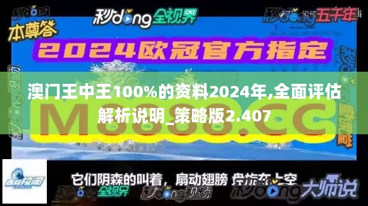 澳门王中王100%的资料2024年,全面评估解析说明_策略版2.407