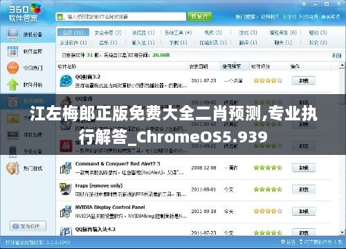 江左梅郎正版免费大全二肖预测,专业执行解答_ChromeOS5.939