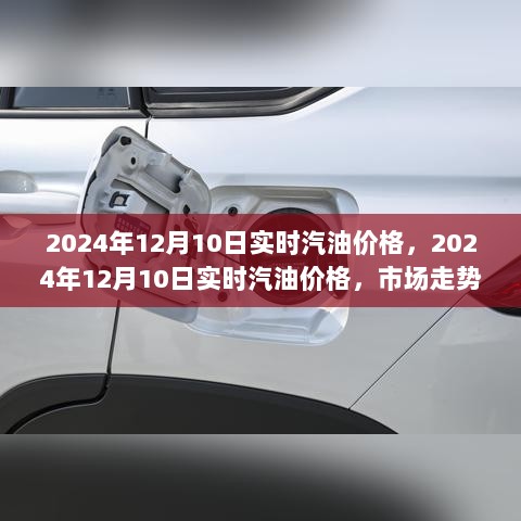 2024年12月10日实时汽油价格分析与市场走势预测