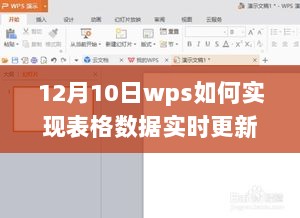 WPS表格数据实时更新之旅，冬日暖阳下的数据魔法探索