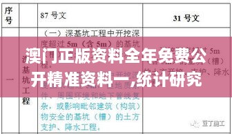 澳门正版资料全年免费公开精准资料一,统计研究解释定义_黄金版17.729