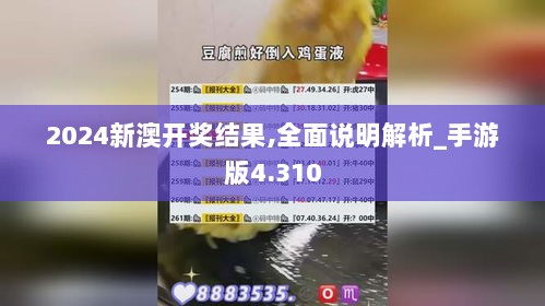 2024新澳开奖结果,全面说明解析_手游版4.310