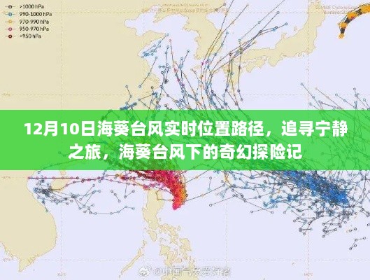 海葵台风下的奇幻探险记，实时位置路径与追寻宁静之旅