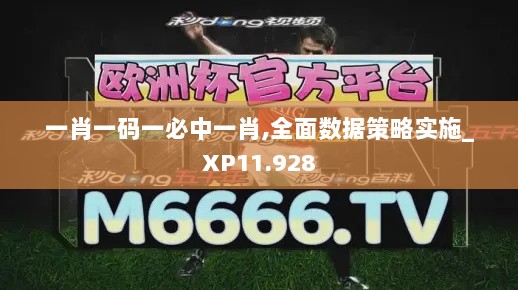 一肖一码一必中一肖,全面数据策略实施_XP11.928