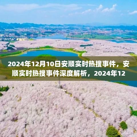 2024年12月10日安顺实时热搜事件深度解析与一览