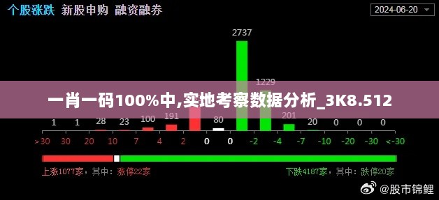 一肖一码100%中,实地考察数据分析_3K8.512