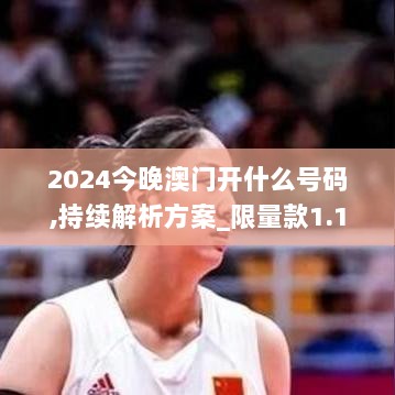 2024今晚澳门开什么号码,持续解析方案_限量款1.170