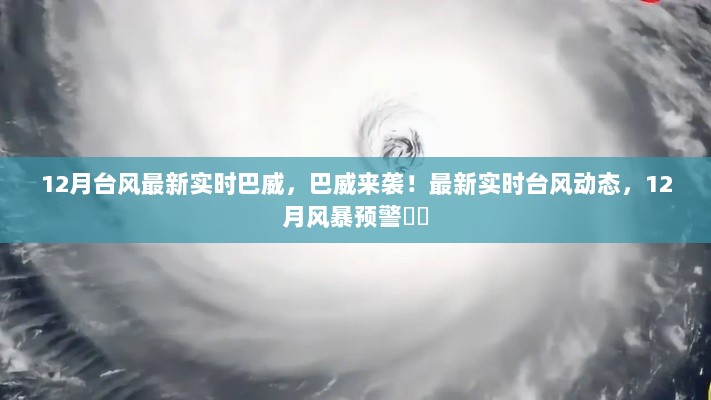 巴威来袭！最新实时台风动态预警，风暴预警发布