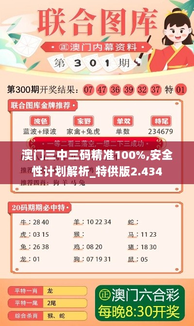 澳门三中三码精准100%,安全性计划解析_特供版2.434