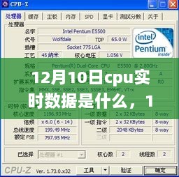 窥探行业内部观点，解读12月10日CPU实时数据报告