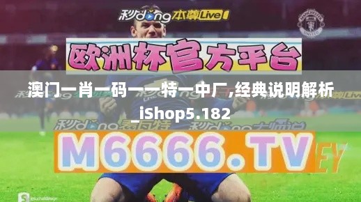 澳门一肖一码一一特一中厂,经典说明解析_iShop5.182