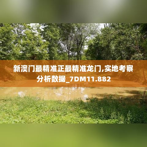 新澳门最精准正最精准龙门,实地考察分析数据_7DM11.882