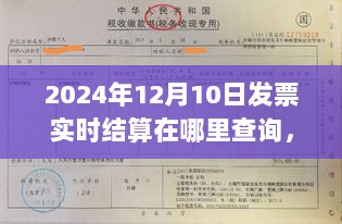 小红书分享，2024年12月10日发票实时结算查询攻略，轻松掌握查询技巧！