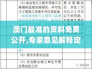 澳门最准的资料免费公开,专家意见解释定义_3K110.276