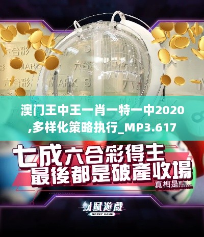 澳门王中王一肖一特一中2020,多样化策略执行_MP3.617