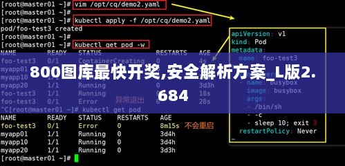 800图库最快开奖,安全解析方案_L版2.684