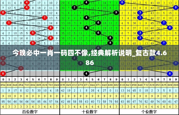 今晚必中一肖一码四不像,经典解析说明_复古款4.686