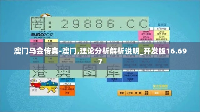 澳门马会传真-澳门,理论分析解析说明_开发版16.697