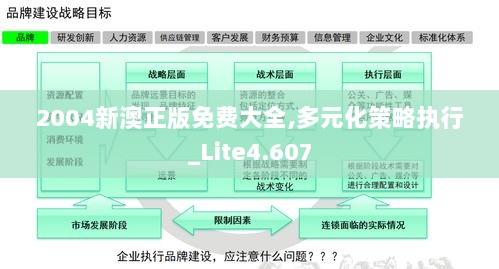 2004新澳正版免费大全,多元化策略执行_Lite4.607