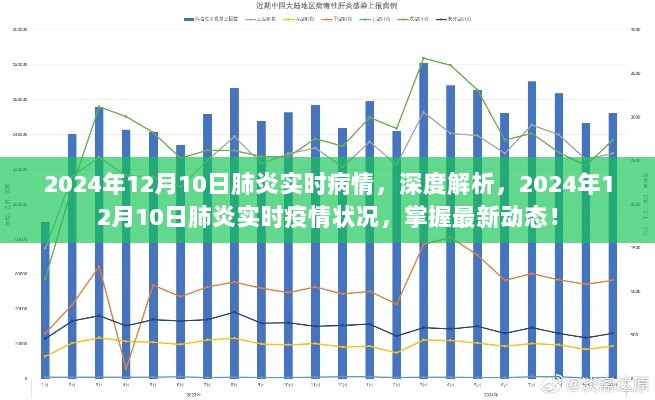 2024年12月10日肺炎实时疫情深度解析，掌握最新动态