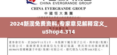 2024新澳免费资料,专家意见解释定义_uShop4.314