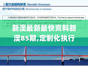 新澳最新最快资料新澳85期,定制化执行方案分析_户外版15.606