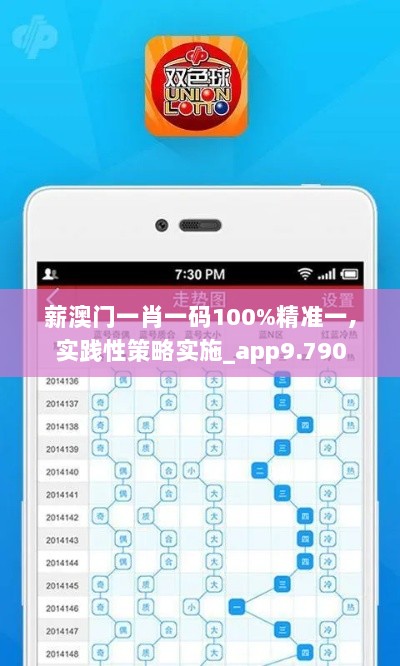 薪澳门一肖一码100%精准一,实践性策略实施_app9.790