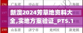 新澳2024芳草地资料大全,实地方案验证_PT5.197