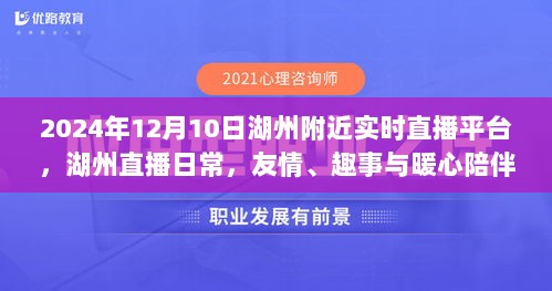 湖州直播之夜，友情、趣事与暖心陪伴的实时直播活动（2024年12月10日）