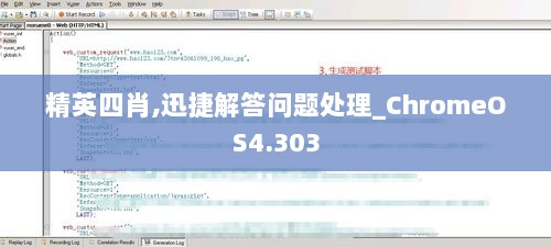 精英四肖,迅捷解答问题处理_ChromeOS4.303