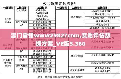 澳门雷锋www29827cnm,实地评估数据方案_VE版5.380