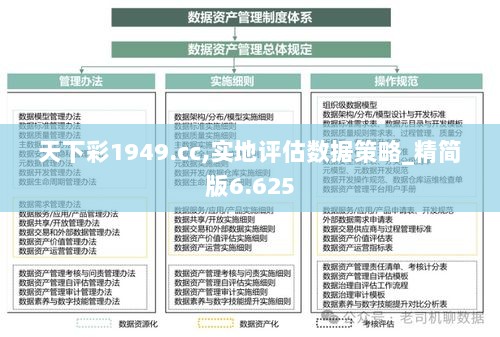 天下彩1949.cc,实地评估数据策略_精简版6.625