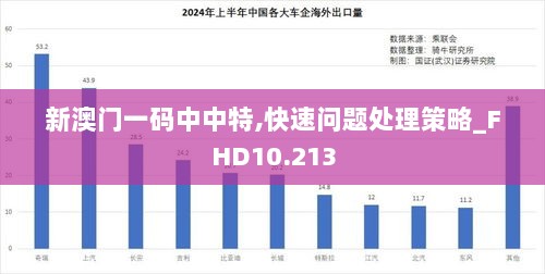 新澳门一码中中特,快速问题处理策略_FHD10.213