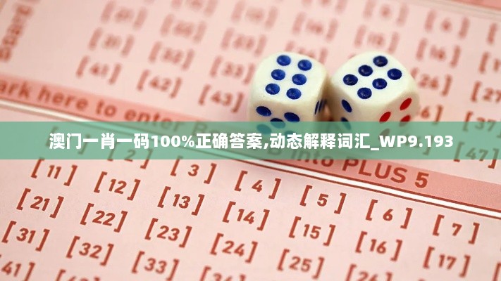 澳门一肖一码100%正确答案,动态解释词汇_WP9.193