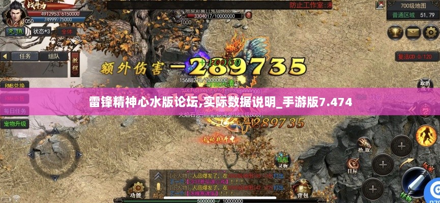 雷锋精神心水版论坛,实际数据说明_手游版7.474