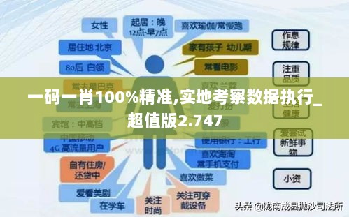 一码一肖100%精准,实地考察数据执行_超值版2.747