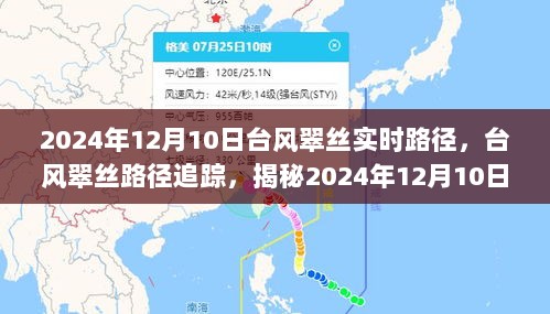 揭秘，台风翠丝路径追踪与风暴动态——2024年12月10日实时更新