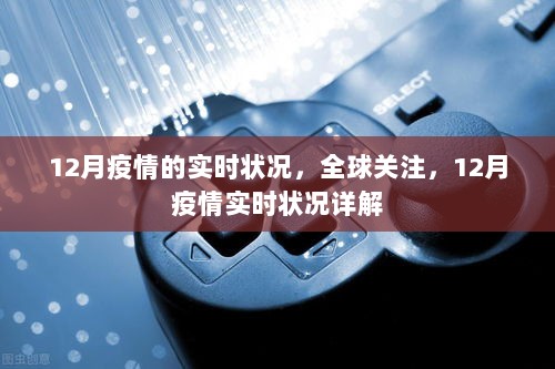 全球关注焦点，12月疫情实时状况详解