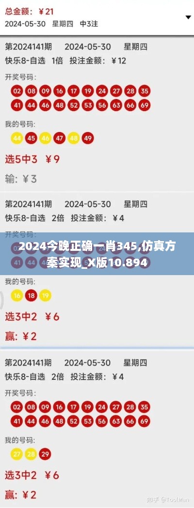 2024今晚正确一肖345,仿真方案实现_X版10.894