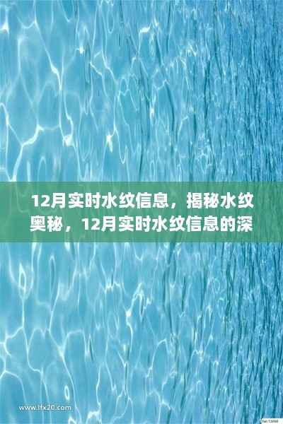 揭秘水纹奥秘，深度解析12月实时水纹信息