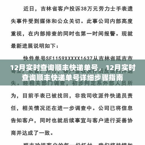 12月顺丰快递单号实时查询指南，详细步骤助你轻松追踪物流信息