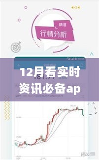 十二月实时资讯必备APP，掌握最新动态，资讯一网打尽