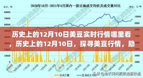 历史上的12月10日美豆行情探寻，励志之路的智慧与实时行情解析