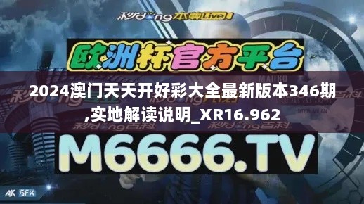 2024澳门天天开好彩大全最新版本346期,实地解读说明_XR16.962