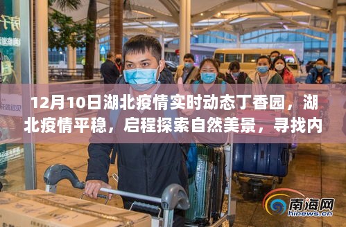 湖北疫情平稳后的自然探索之旅，寻找内心的宁静与力量