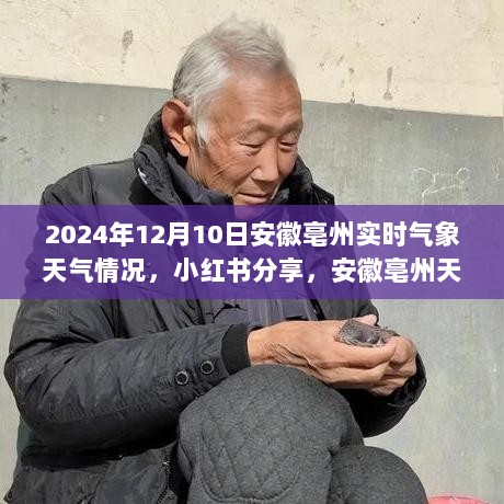 2024年12月10日安徽亳州实时气象报告与天气预报分享